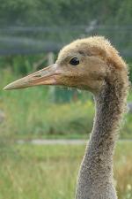 Blue Red Yellow on 25th July 2013 Blue Red Yellow on 25th July 2013